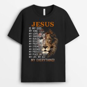 Jesus Is My God, King, Lord, Savior, Healer, Refuge,Provider T-Shirt